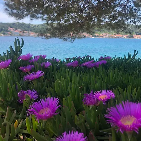 Vortex Pbk Mobilehome דירה *