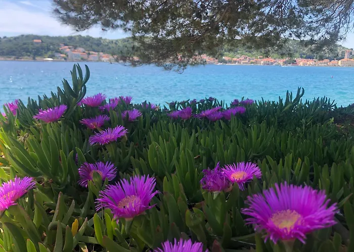 Vortex Pbk Mobilehome Appartement *