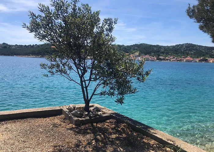 Vortex Pbk Mobilehome